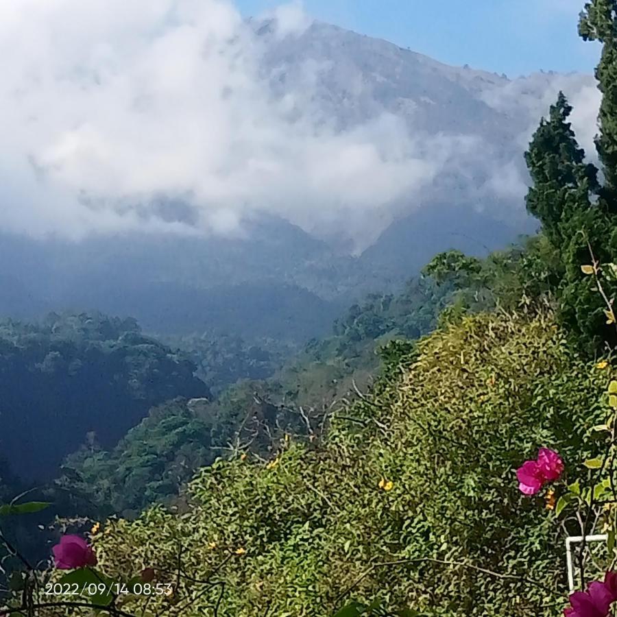 Bukit Senaru Homestay Exterior photo