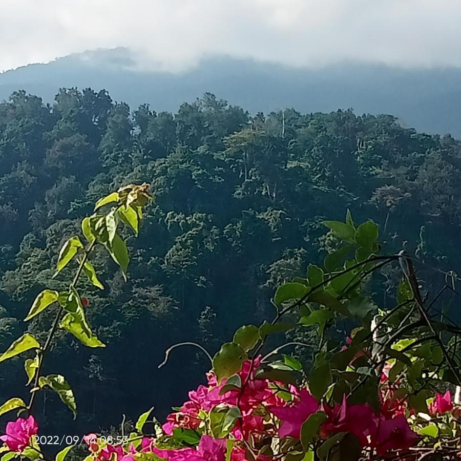 Bukit Senaru Homestay Exterior photo