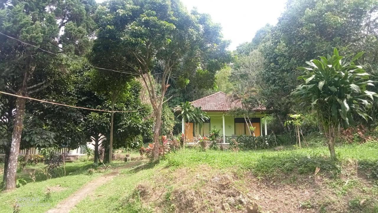 Bukit Senaru Homestay Exterior photo