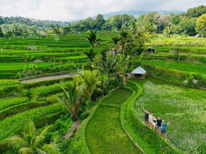 Bukit Senaru Homestay Exterior photo