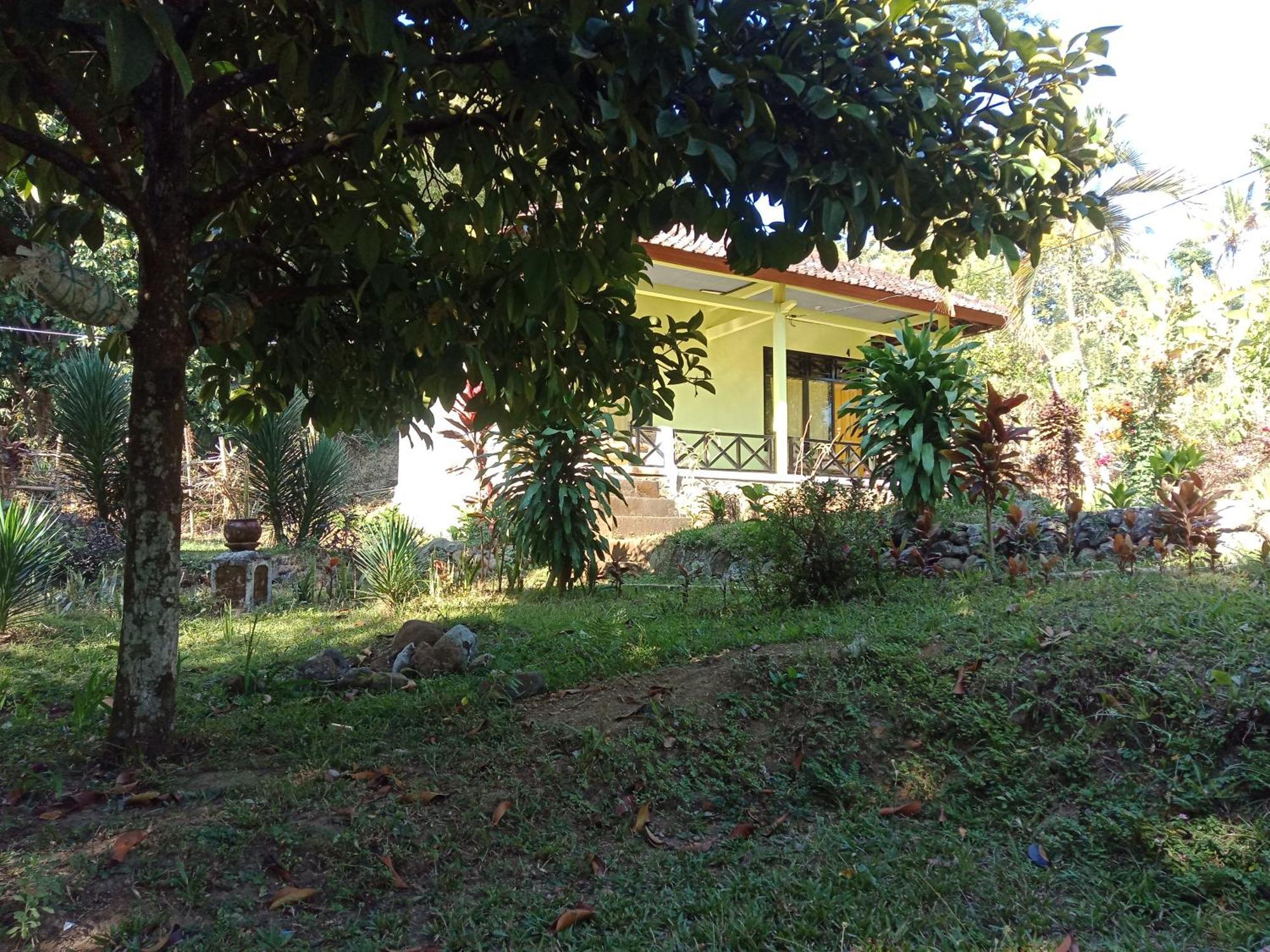 Bukit Senaru Homestay Exterior photo