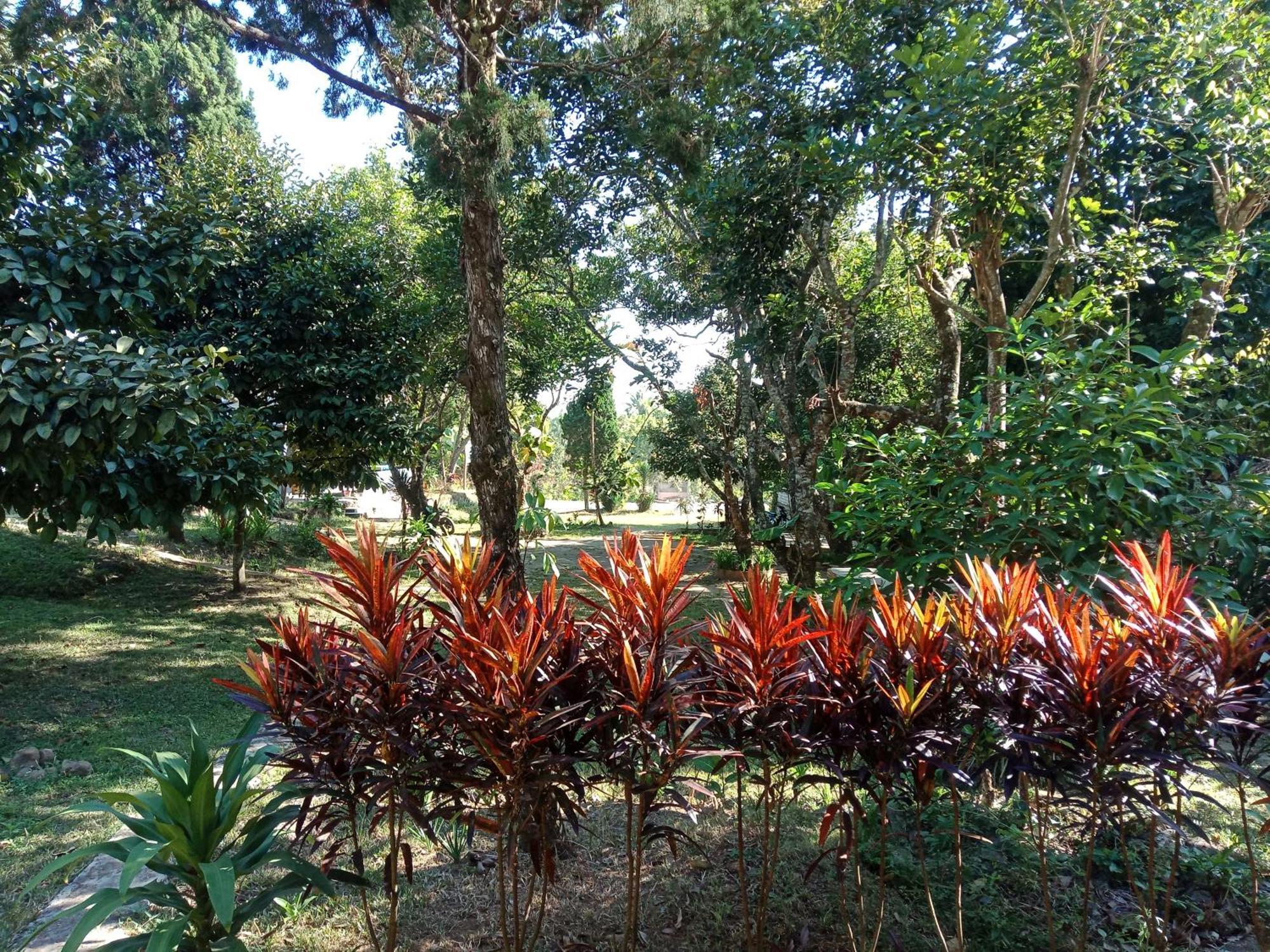 Bukit Senaru Homestay Exterior photo