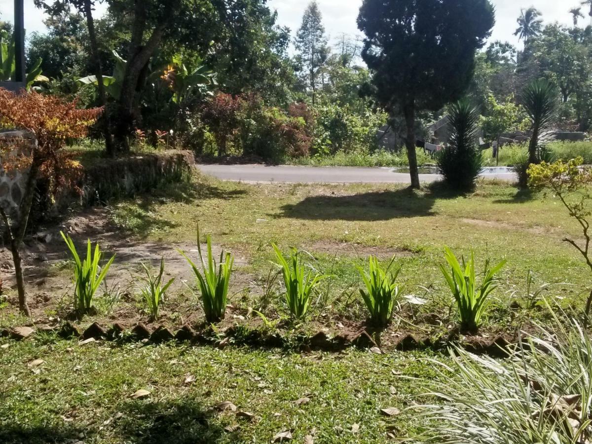 Bukit Senaru Homestay Exterior photo